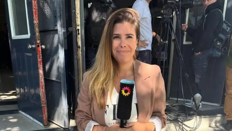 ceci insi