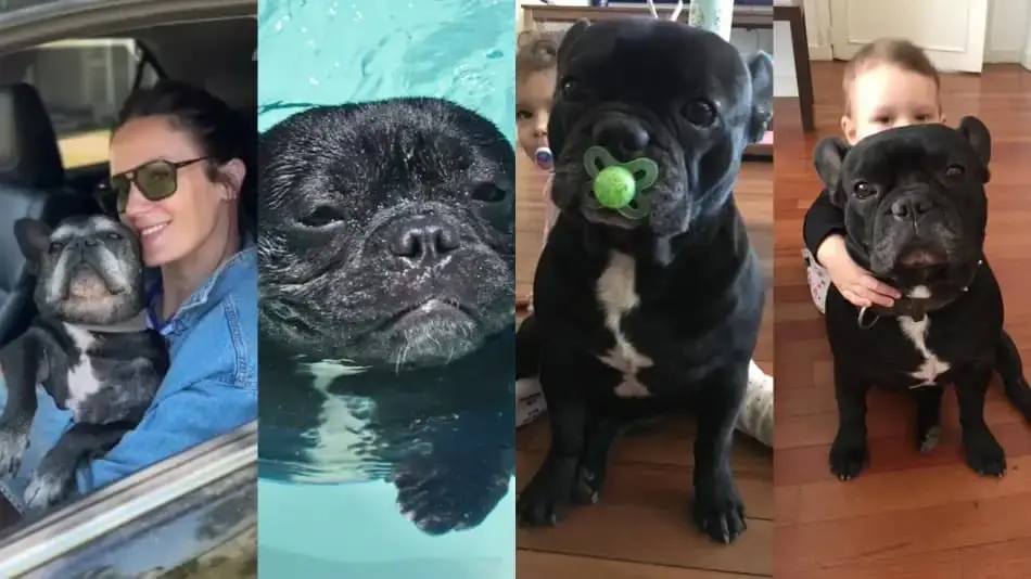 paula chavez y su perro moro